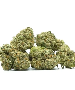 ALIEN OG POPCORN