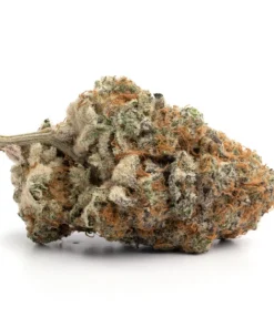 STRAWBERRY COUGH