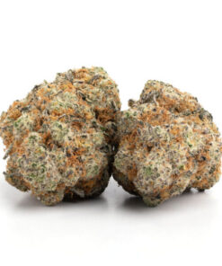 Bubble Gum Sherb