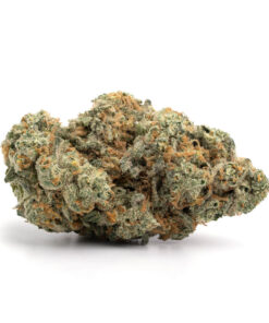 DURBAN POISON