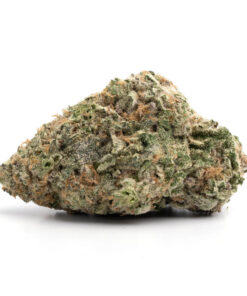 FROSTED FRUIT CAKE strain