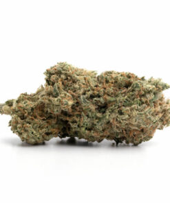 Girl Scout Cookies