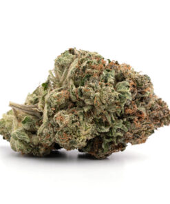 OG SHARK