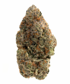 PURPLE CREAMSICLE