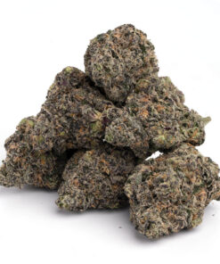 Purple Tangie Strain