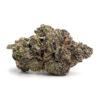 Purple Tangie Strain