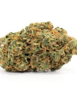 SUPER LEMON HAZE