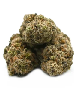 GUSHERS WEED STRAINS
