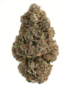 Gas Face Strain