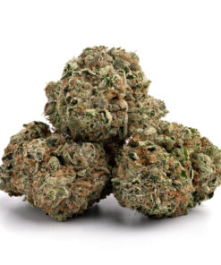 Gas Face Strain