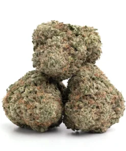 Ice Cream Strain