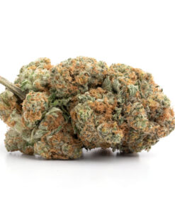 Candy Land Strain