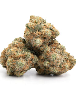 Candy Land Strain