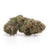Master Kush Strain