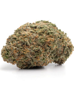 Strawberry Shortcake