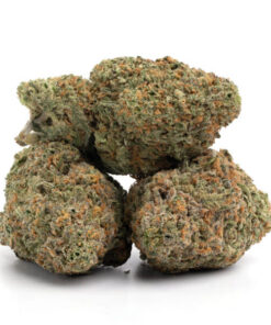 Strawberry Shortcake