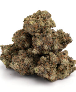 Purple Kush Strain