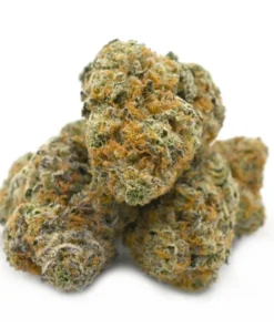 Vortex Weed Strain