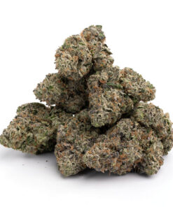 Pink Death strain