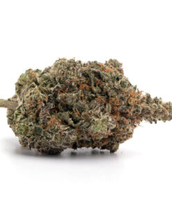 Rockstar strain