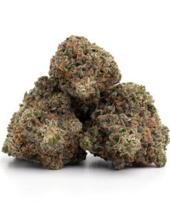 Rockstar strain