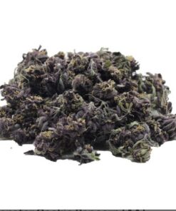 Runtz Strain