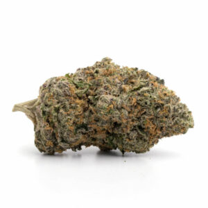 Jet Fuel