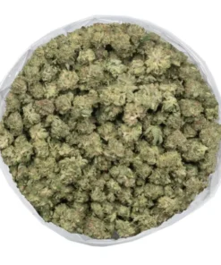 El Chapo Strain