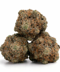 Tuna God Strain