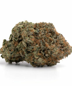 Tuna God Strain