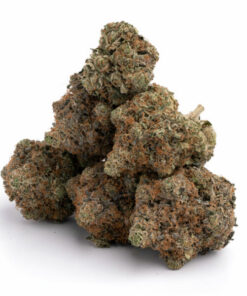 Tuna God Strain