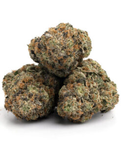 God Green Crack Strain