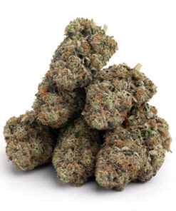 God Green Crack Strain
