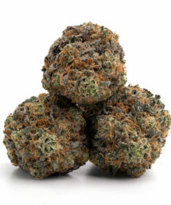 Death Gas Strain
