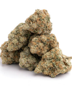 White Widow Strain