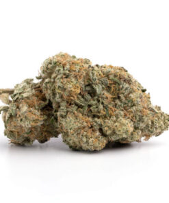 White Widow Strain