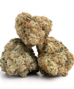 White Widow Strain