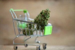 Buying weed online in canada