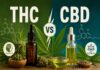 THC vs. CBD: What's the Difference?