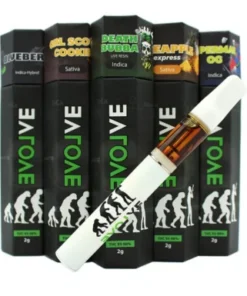 Evolve – Disposable Vape Pen (2g)