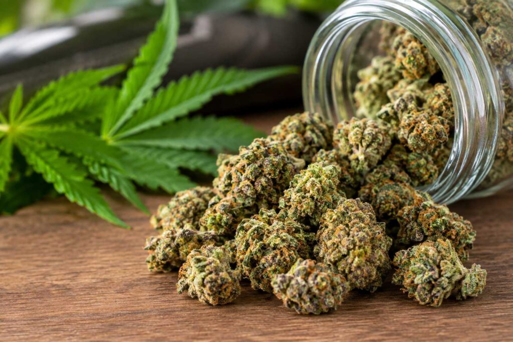 Popcorn Buds: Everything You Need to Know
