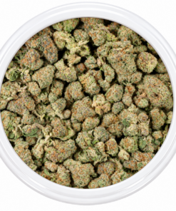 Headband - Budget Buds Popcorn